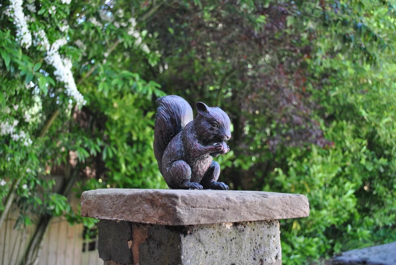 Squirrel Barn Villa Milwich Ngoại thất bức ảnh